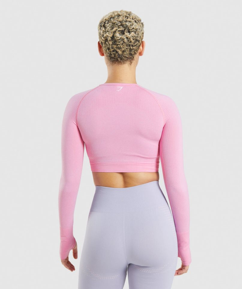 Przycięte Topy Gymshark Vital Seamless 2.0 Damskie Różowe | PL 052XGT